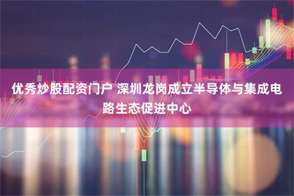 优秀炒股配资门户 深圳龙岗成立半导体与集成电路生态促进中心
