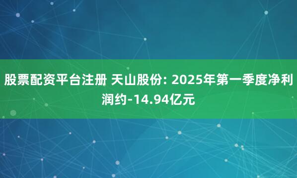 股票配资平台注册 天山股份: 2025年第一季度净利润约-14.94亿元